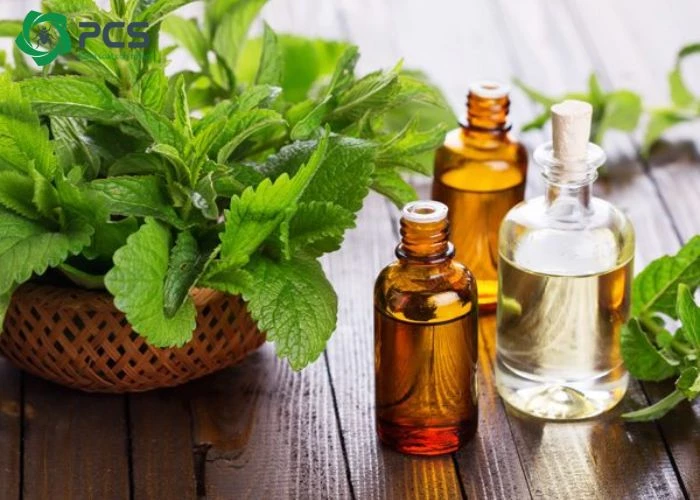 cách diệt kiến đen trong nhà